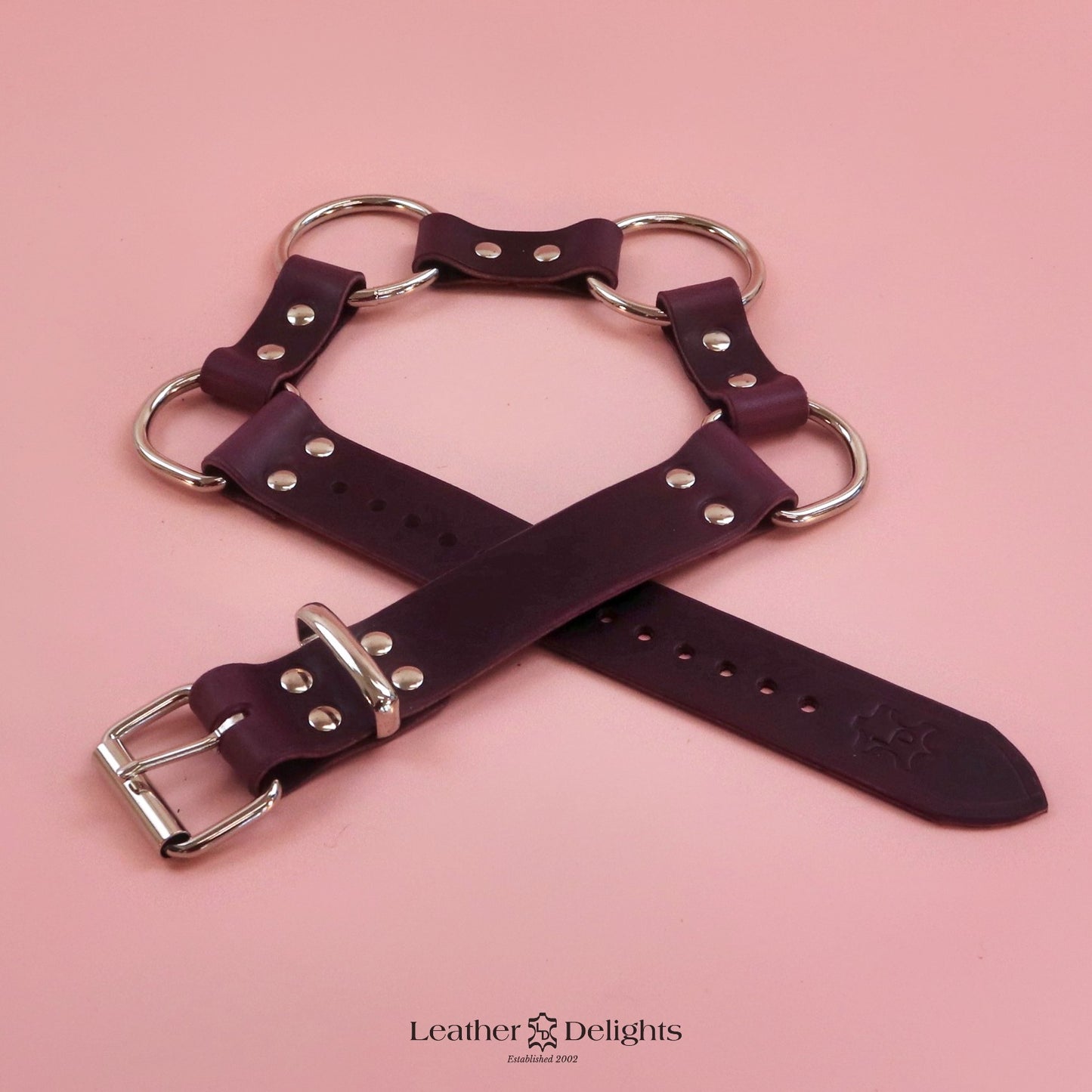 Ceinture à joint torique