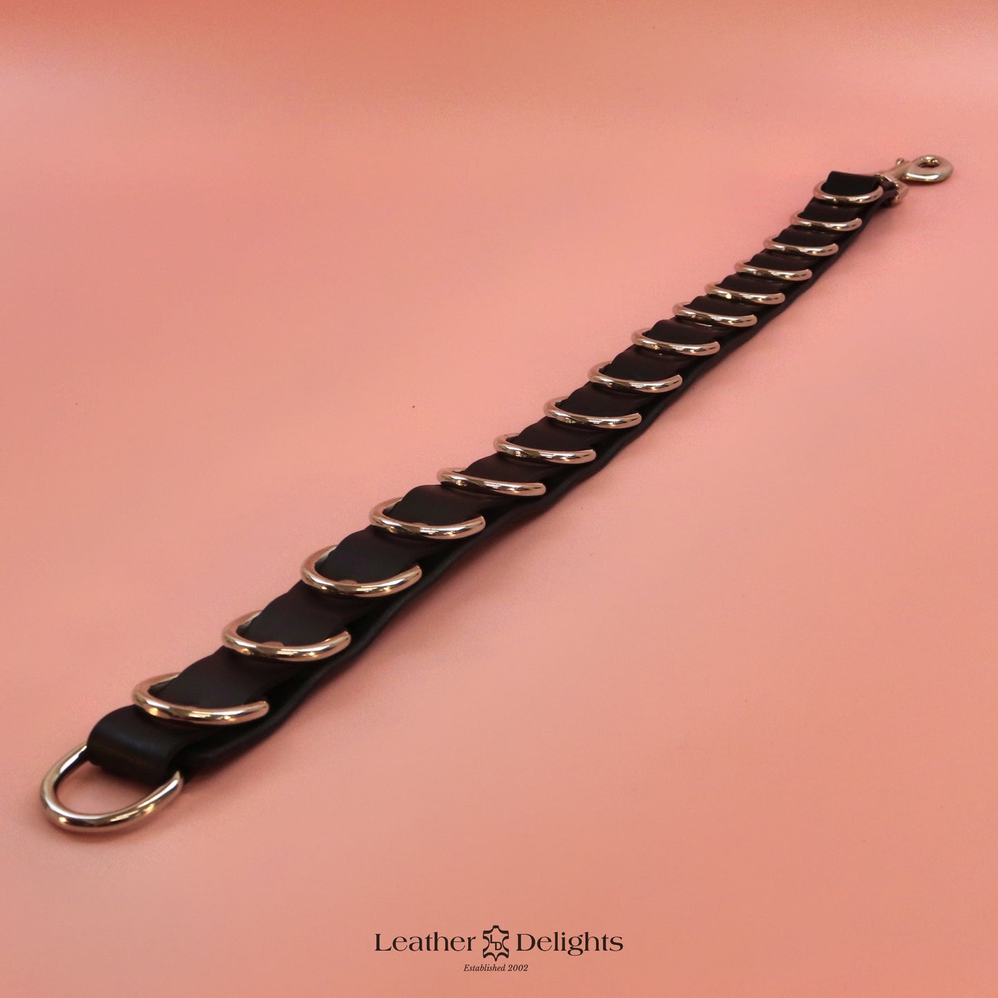 Multi-Point Leather Strap