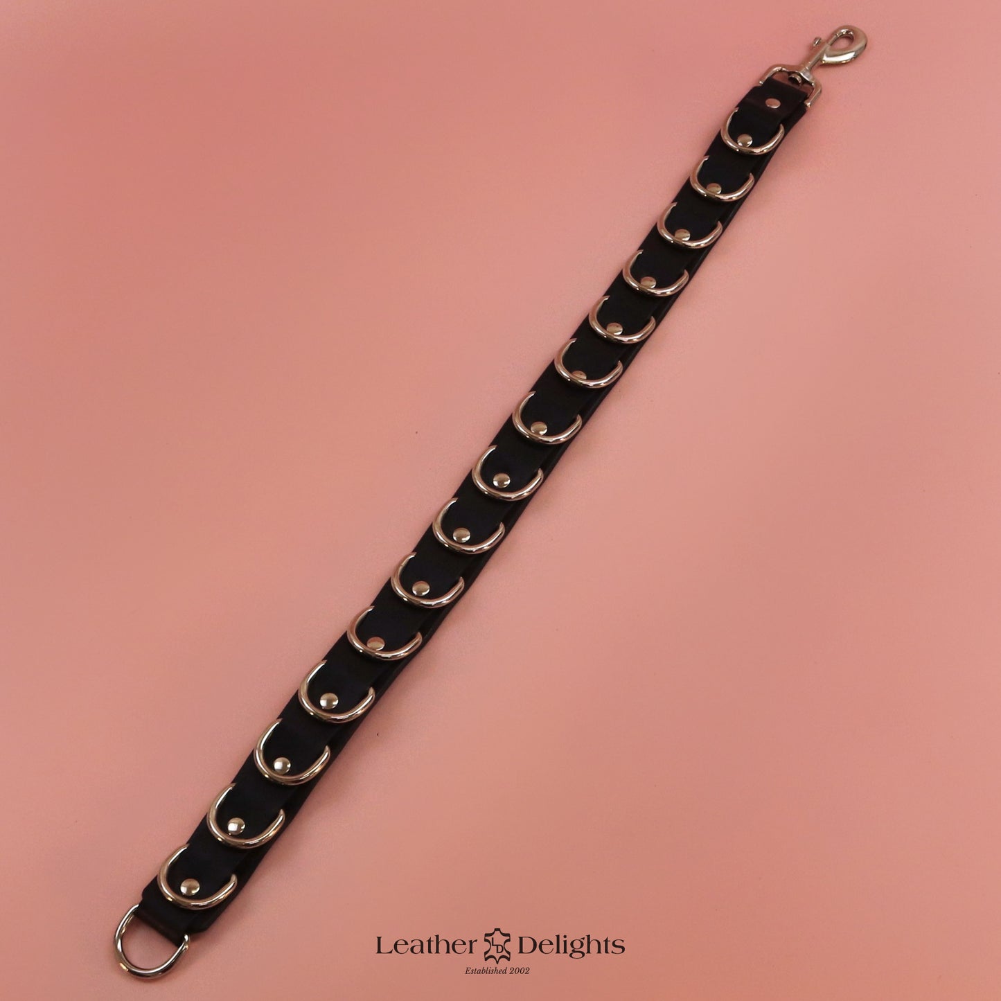 Multi-Point Leather Strap