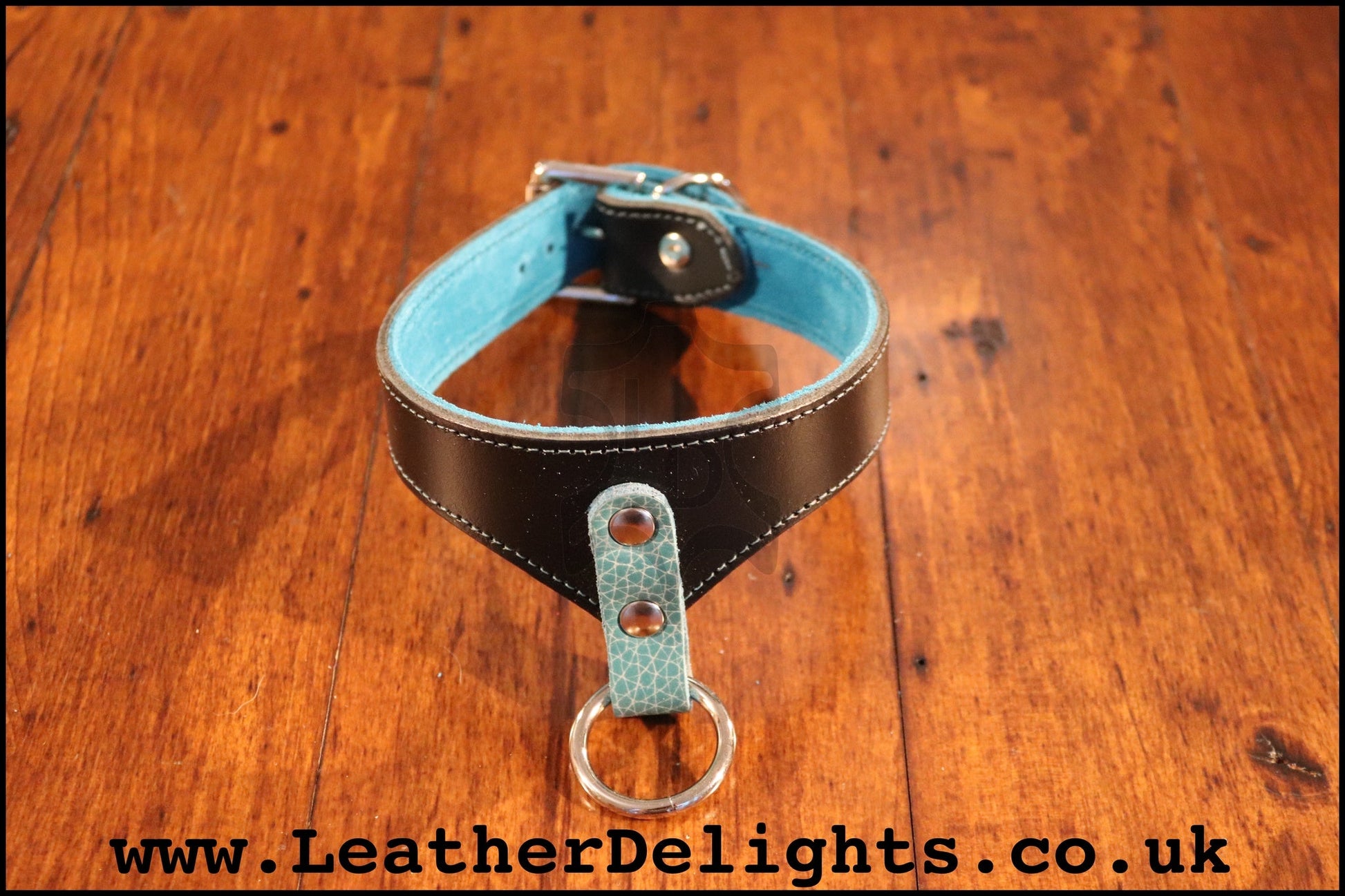 1" Wide Collar with Dropped Welded O Ring - Leather Delights