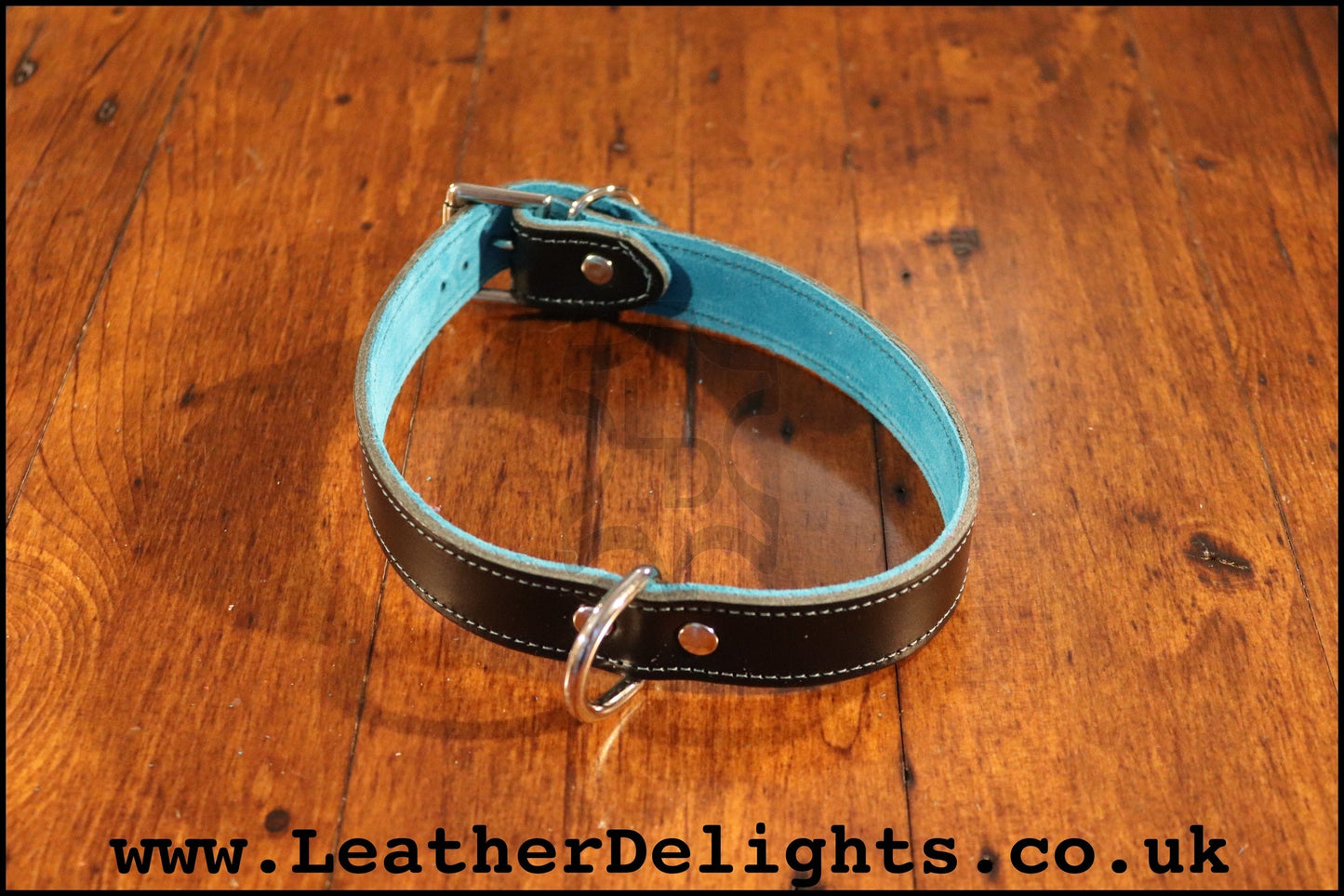 1" Wide Collar with Welded D Ring - Leather Delights