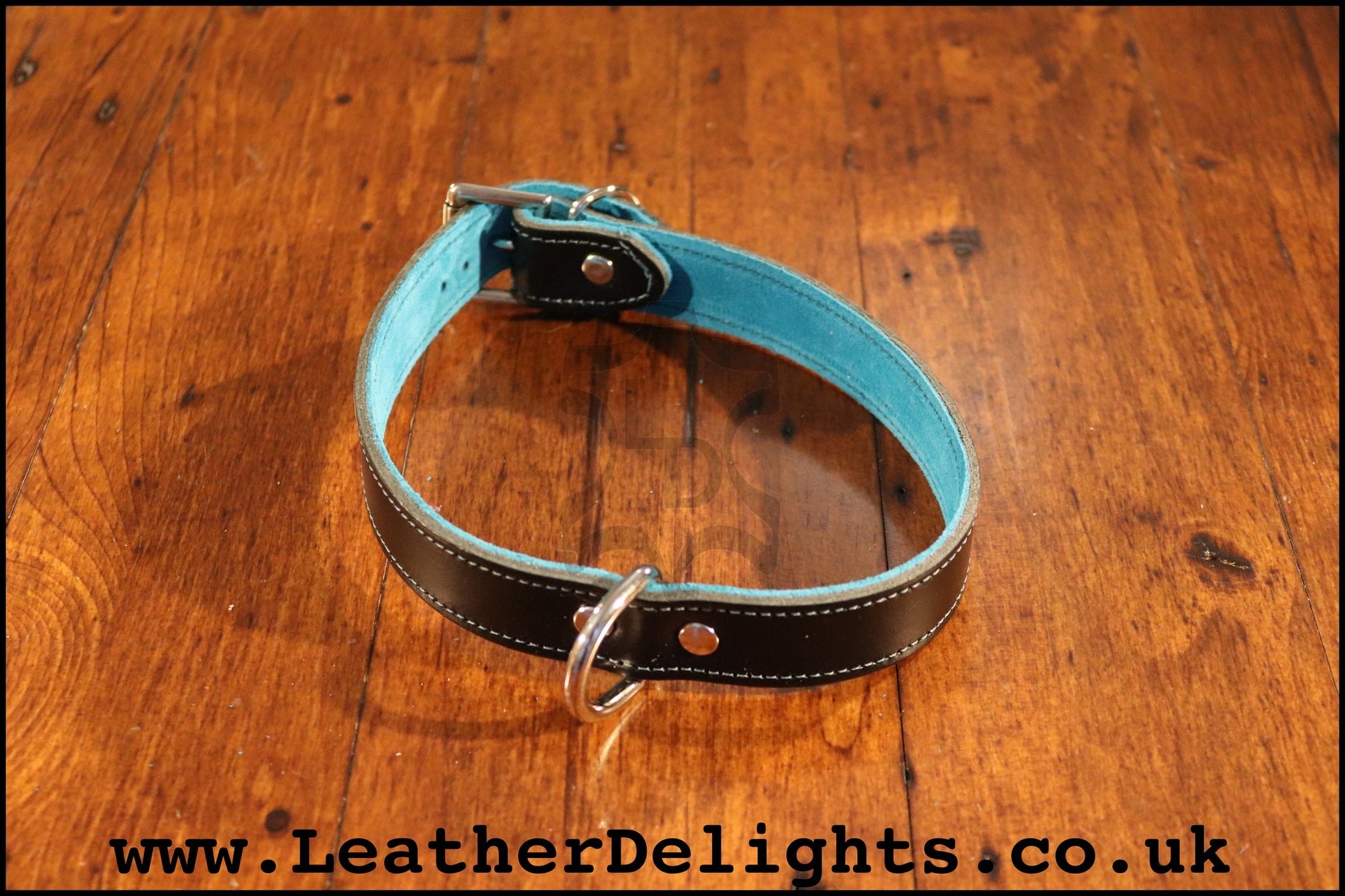 1" Wide Collar with Welded D Ring - Leather Delights