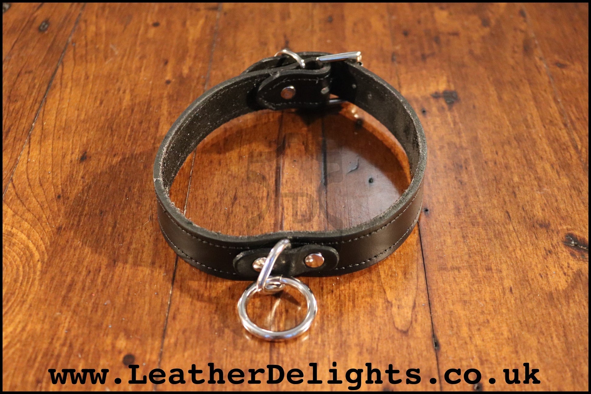 1" Wide Collar with Welded O Ring - Leather Delights