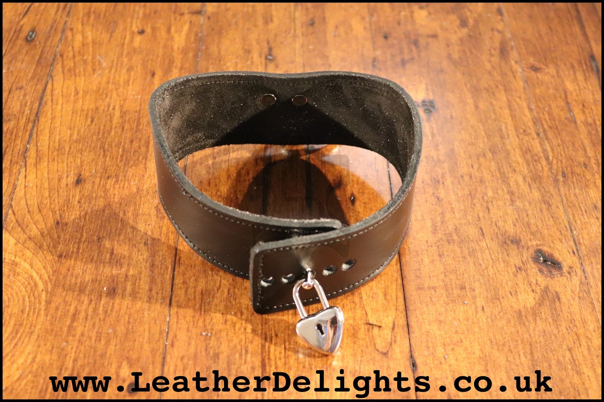 2" Wide Contour Collar with Welded O Ring - Leather Delights