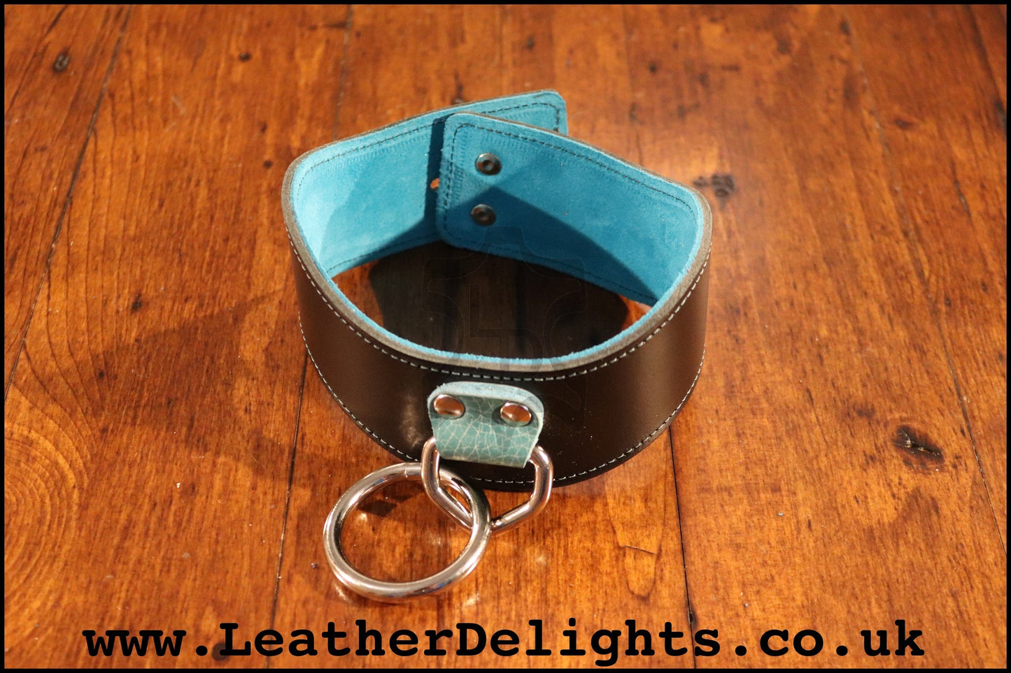 2" Wide Contour Collar with Welded O Ring - Leather Delights