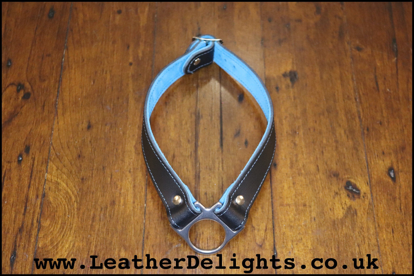 Dropped O Ring Collar - Leather Delights