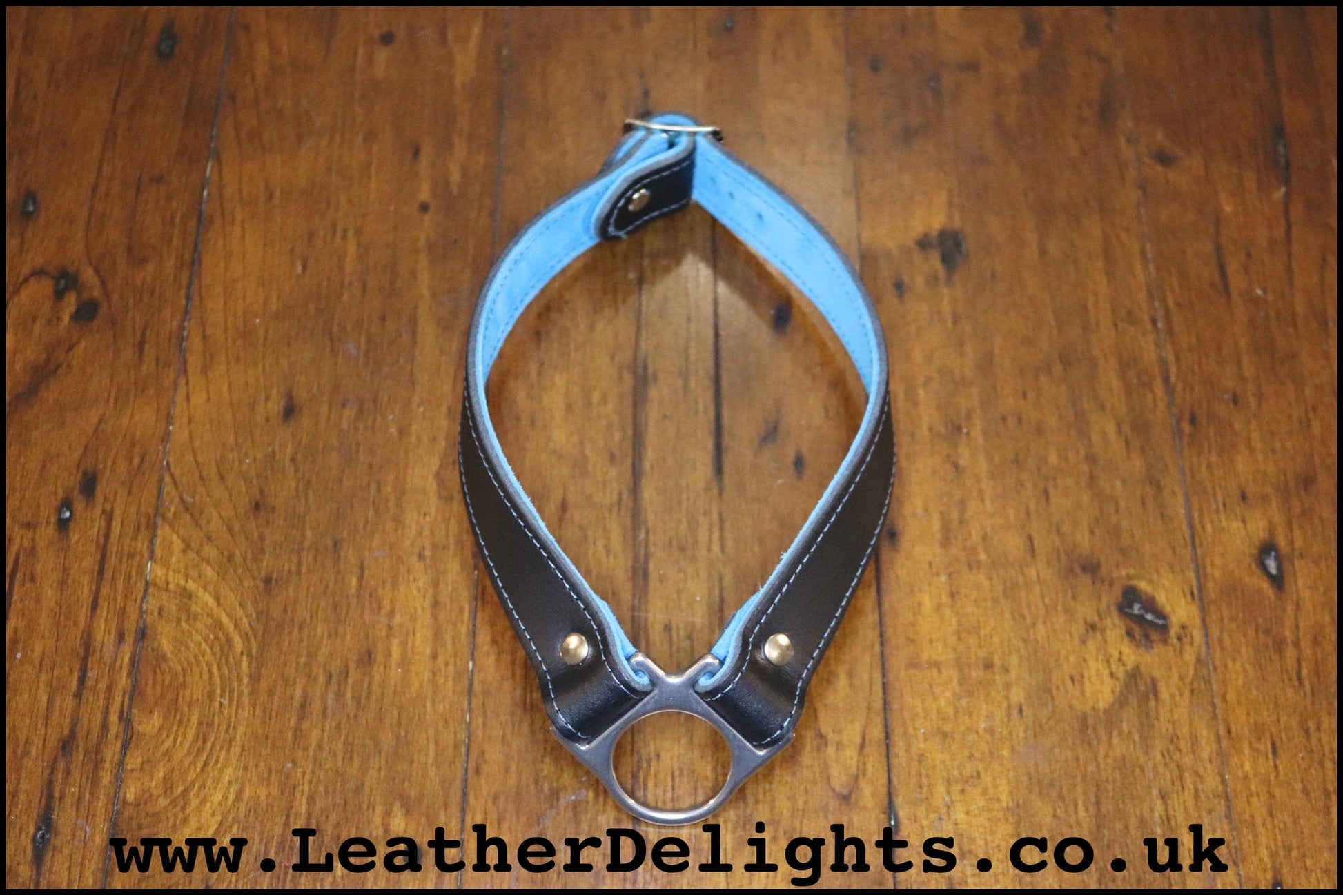 Dropped O Ring Collar - Leather Delights