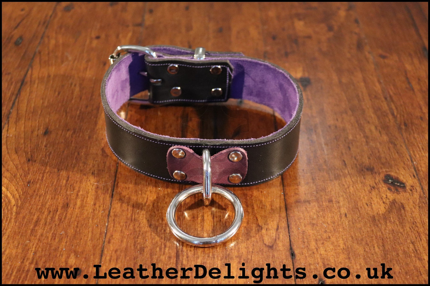 Heavy Duty Collar with Welded O Ring - Leather Delights