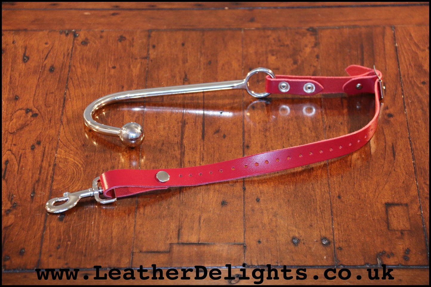 Single Ball Anal Hook with Strap - Leather Delights