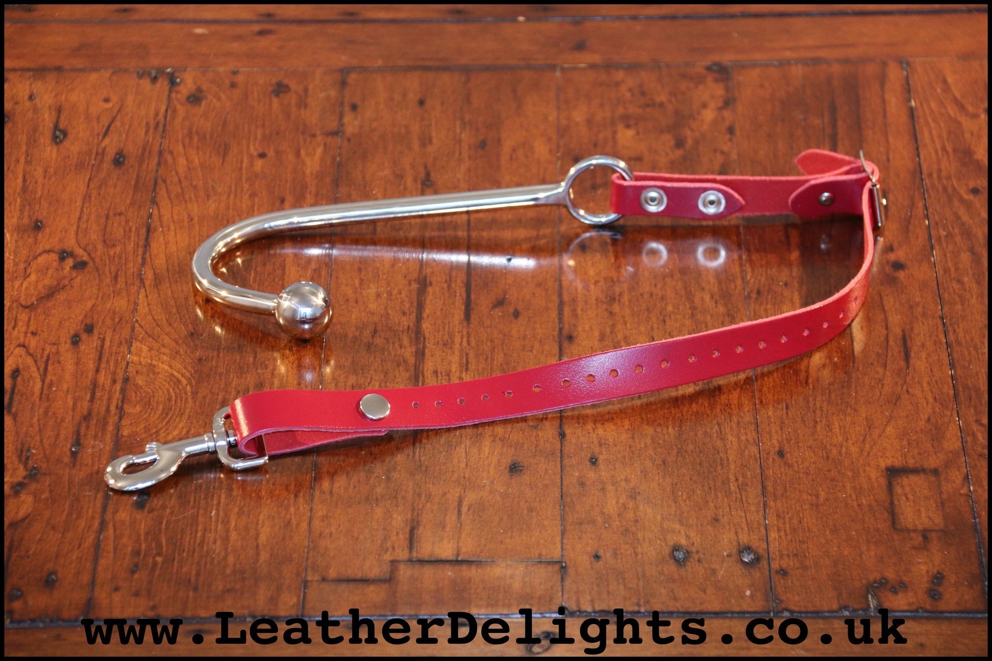 Single Ball Anal Hook with Strap - Leather Delights