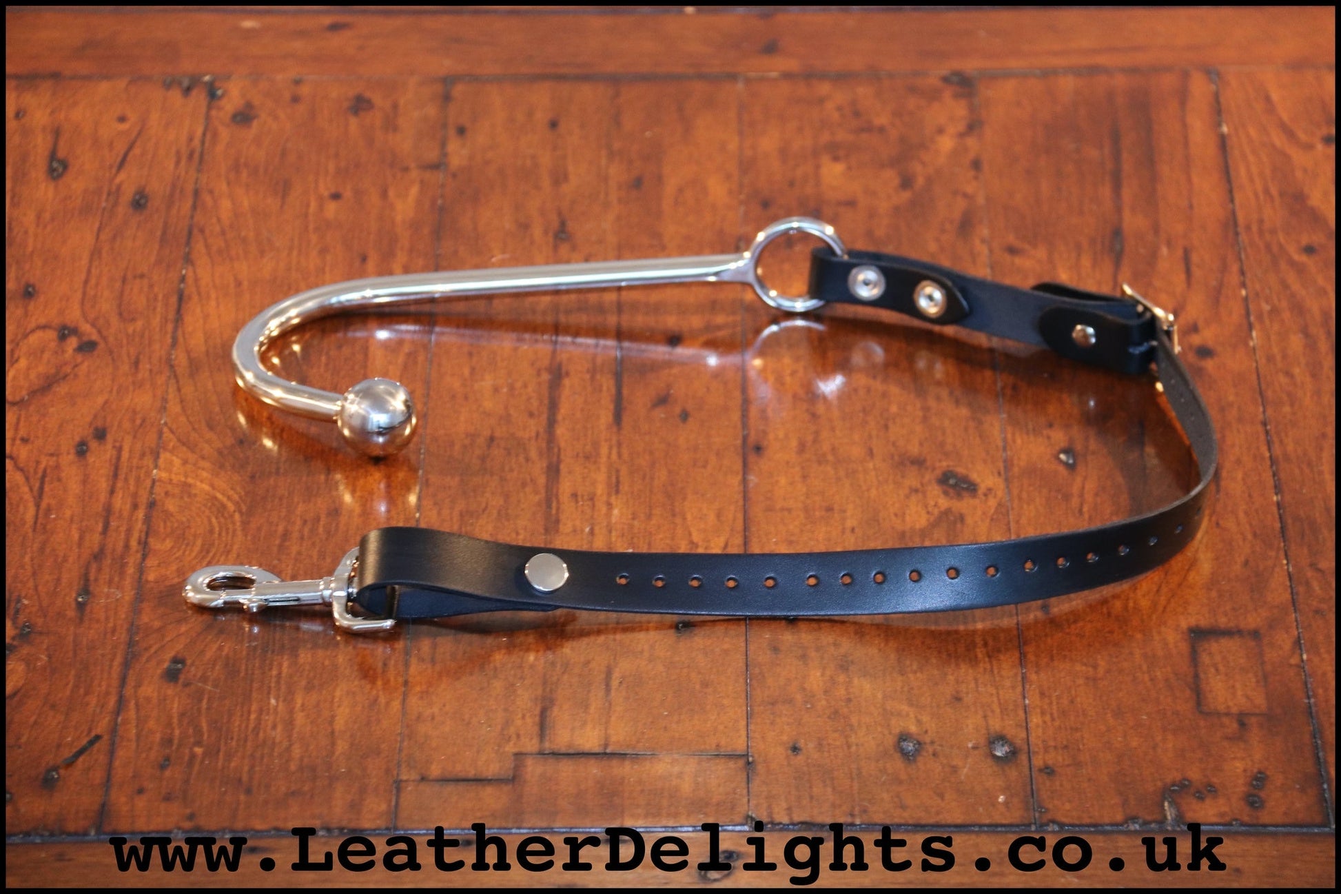 Single Ball Anal Hook with Strap - Leather Delights