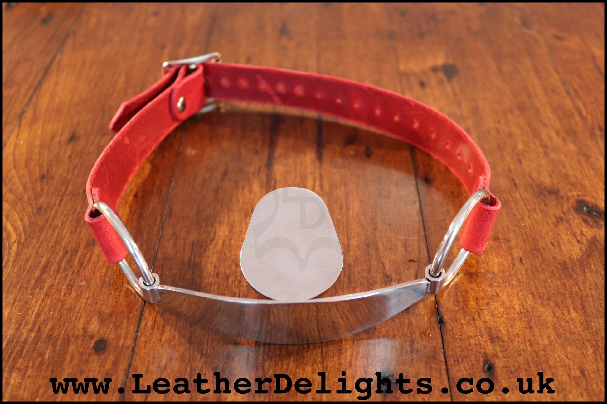 Stainless Steel Tongue Gag - Leather Delights