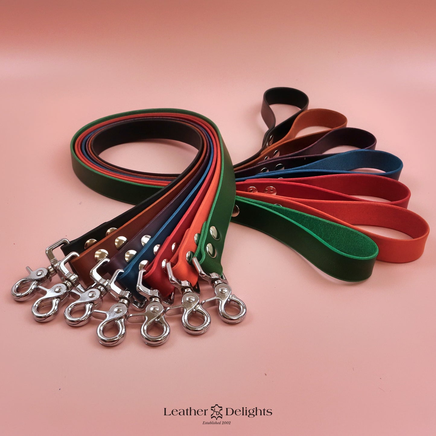 Leather Lead