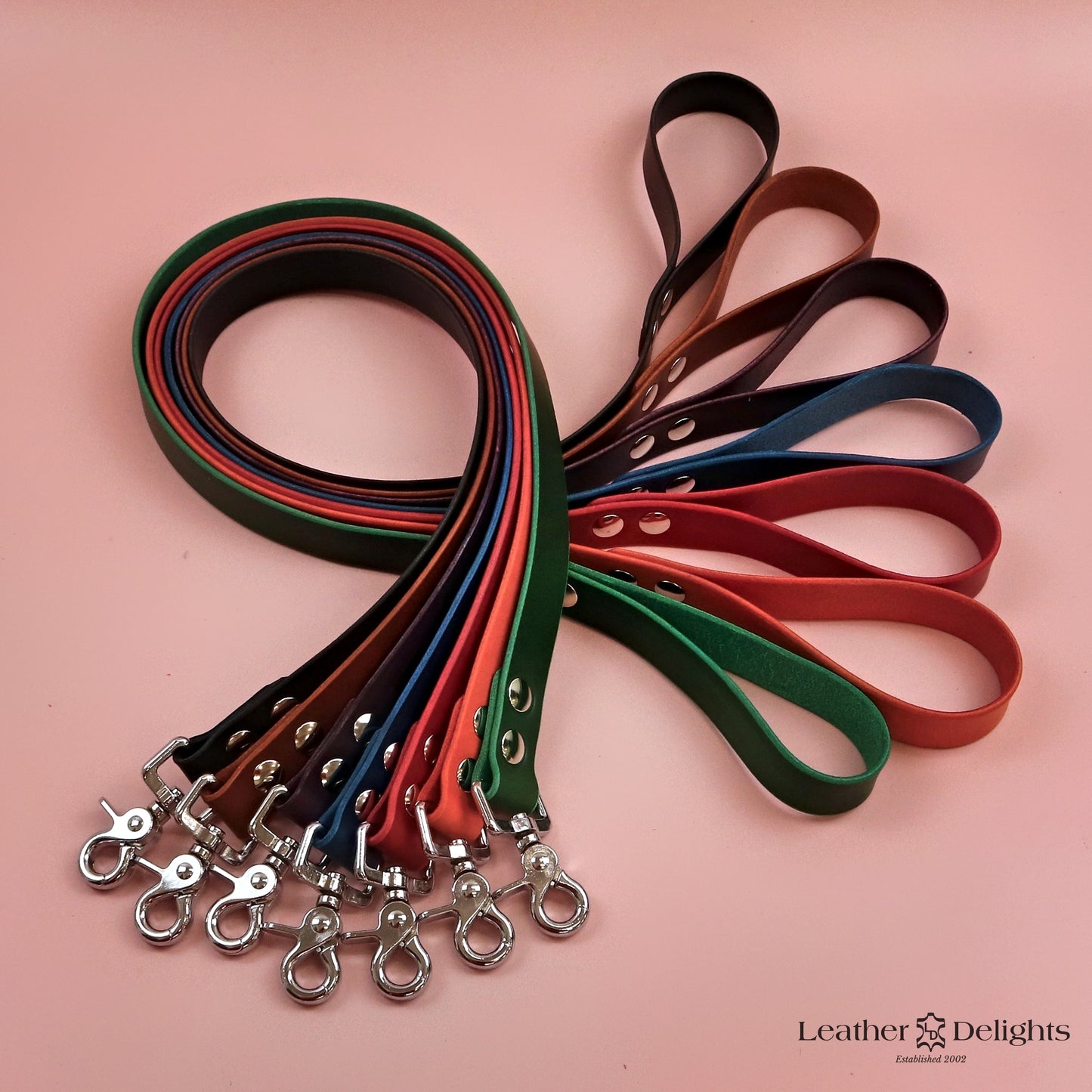 Leather Lead